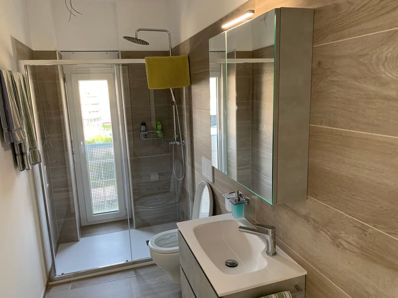 2.5 room apartment, furnished, Bellinzona (5)