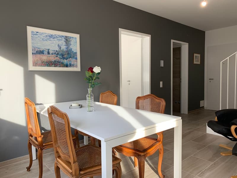 2.5 room apartment, furnished, Bellinzona (8)