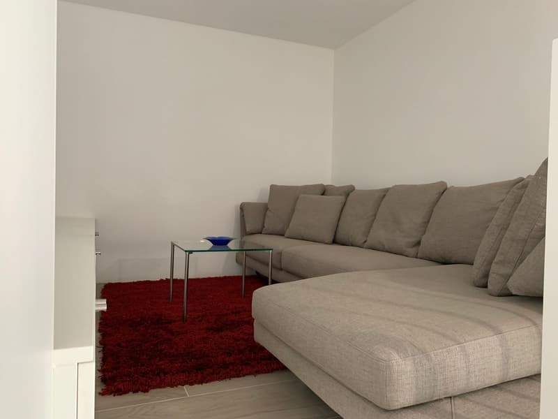 2.5 room apartment, furnished, Bellinzona (3)