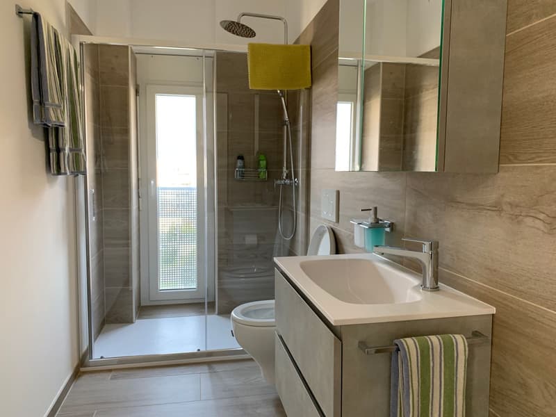 2.5 room apartment, furnished, Bellinzona (4)