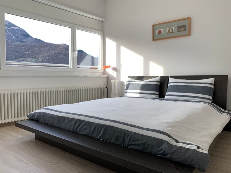 2.5 room apartment, furnished, Bellinzona (6)