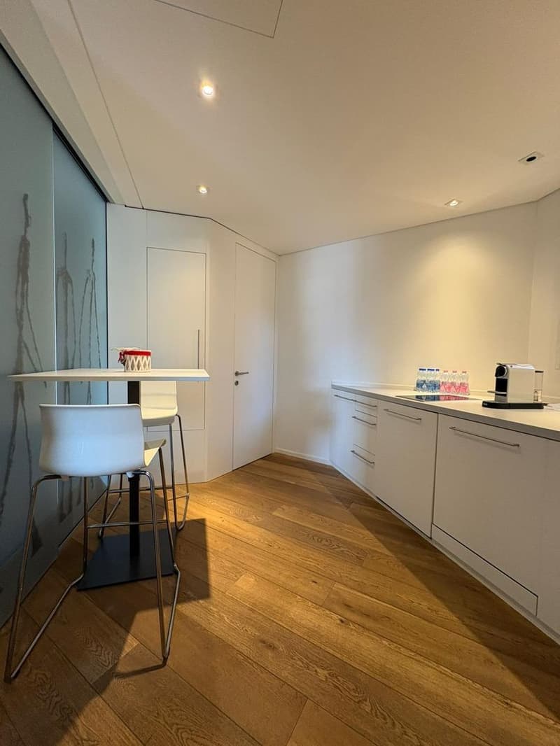 Exklusives Büro im letzten Stock, Lugano (8)