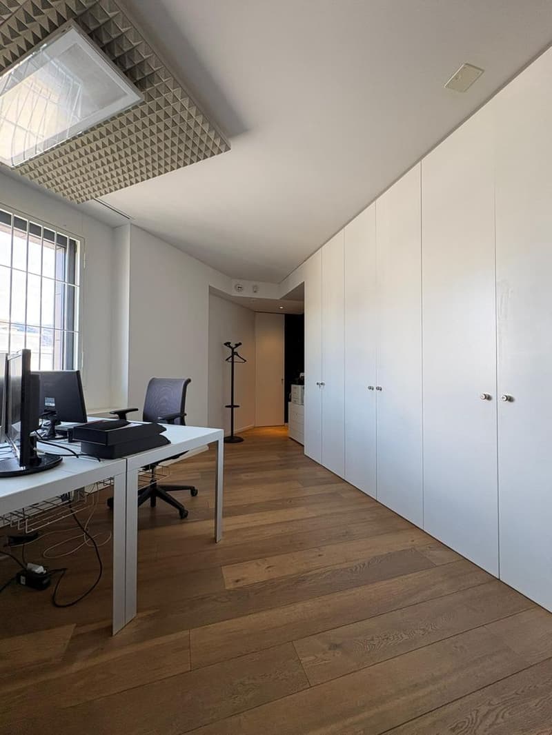 Büro im letzten Stock mit Potenzial zur Umwandlung in ein Dachgeschoss, Lugano (14)