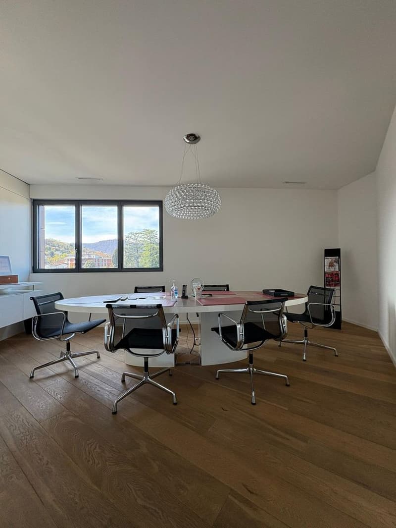 Büro im letzten Stock mit Potenzial zur Umwandlung in ein Dachgeschoss, Lugano (8)