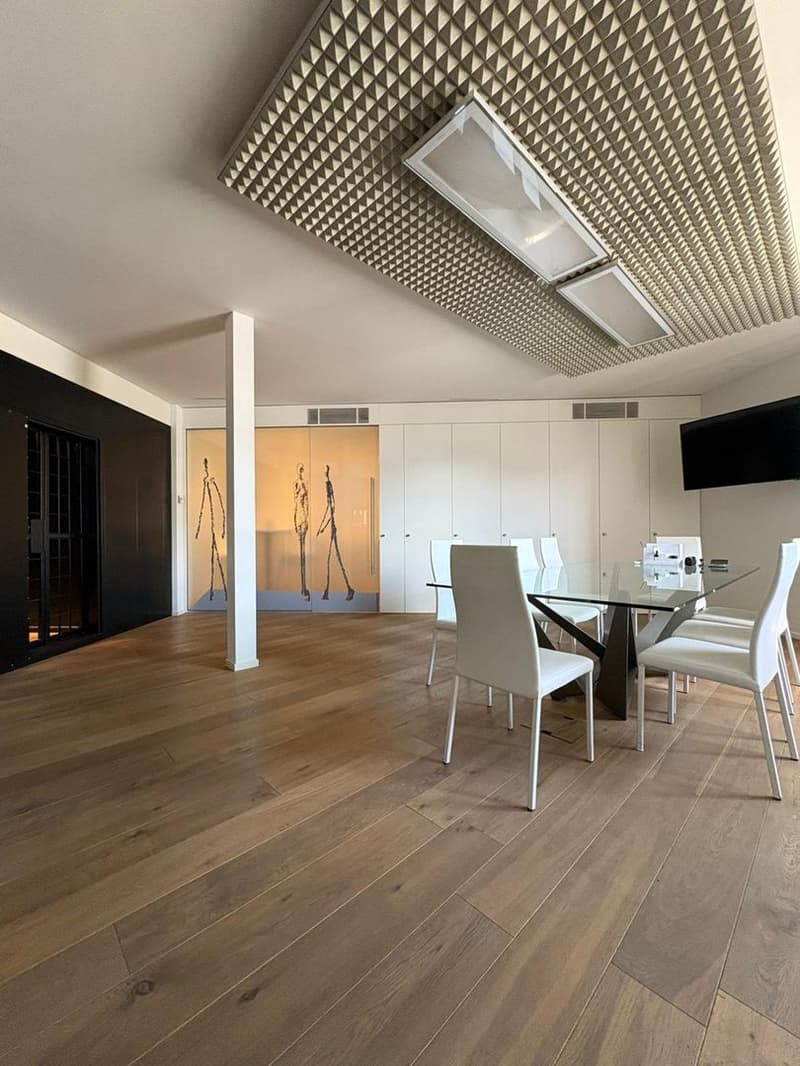 Büro im letzten Stock mit Potenzial zur Umwandlung in ein Dachgeschoss, Lugano (2)