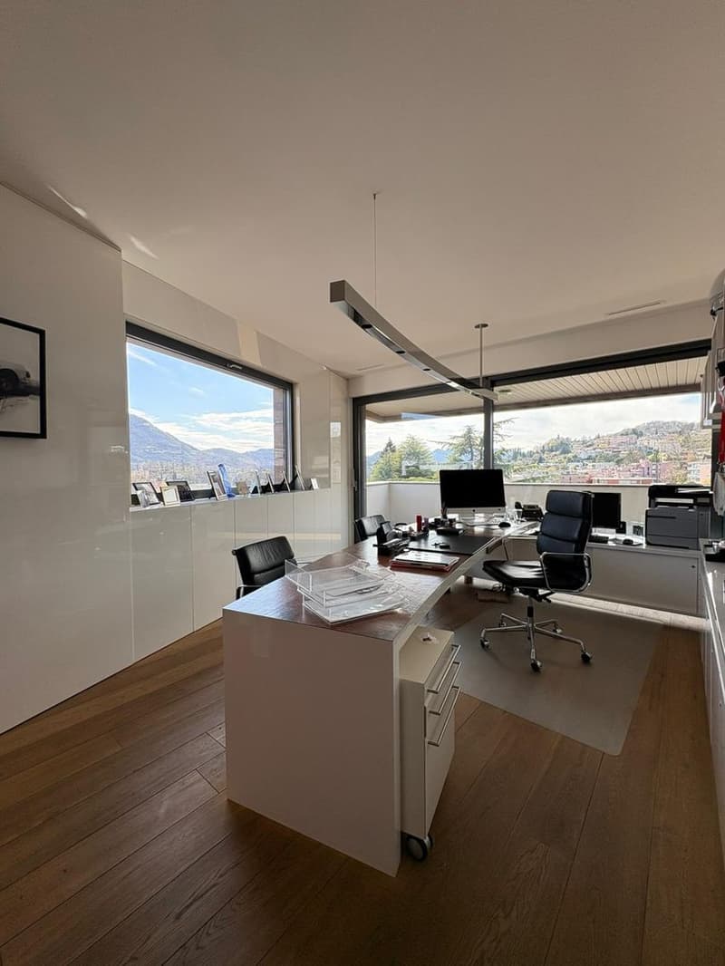 Ufficio all’ultimo piano con potenziale trasformazione in attico, Lugano (9)
