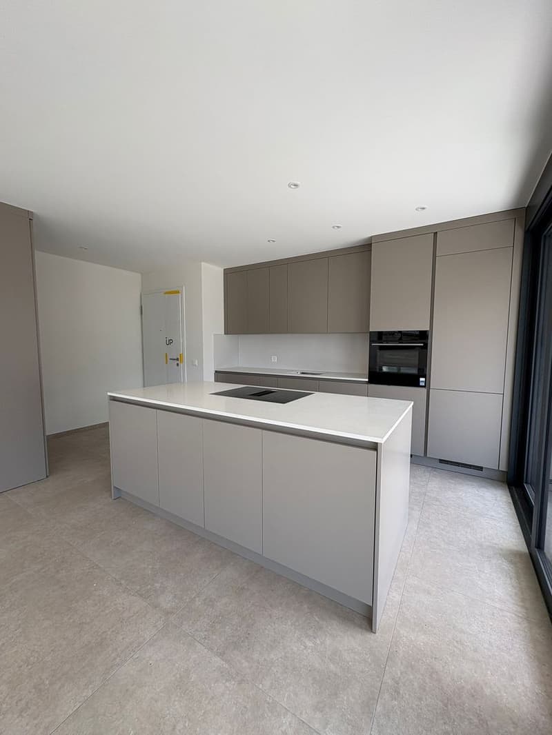 Appartement moderne de 3.5 pièces avec grande terrasse à Giubiasco (2)