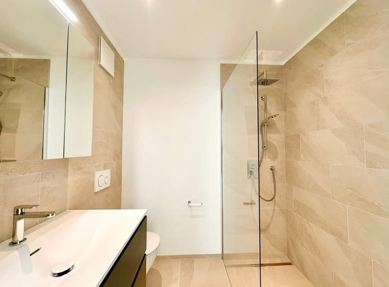 Wohnung, 3.5 Zimmer mit Garten, Tenero (11)