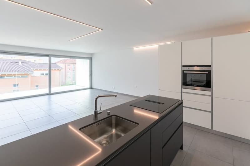 Apartment with 3.5 rooms and large terrace, Bellinzona (3)