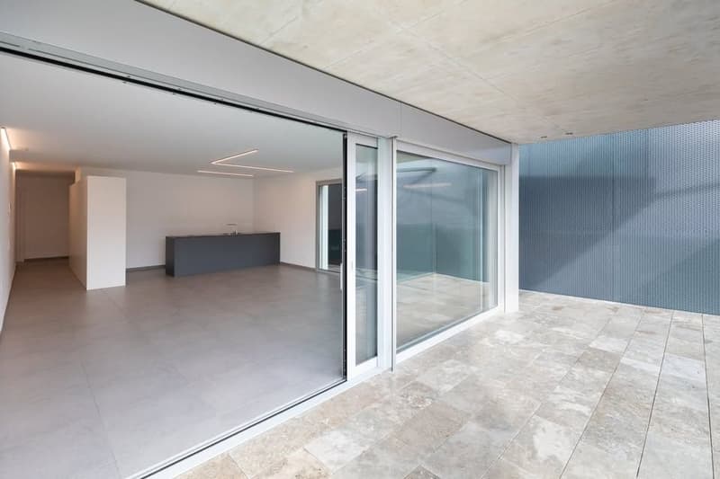 Apartment with 3.5 rooms and large terrace, Bellinzona (4)