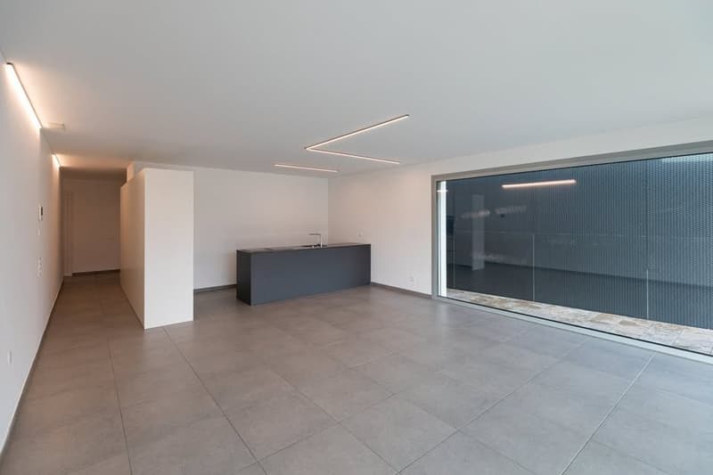 Apartment with 3.5 rooms and large terrace, Bellinzona (1)