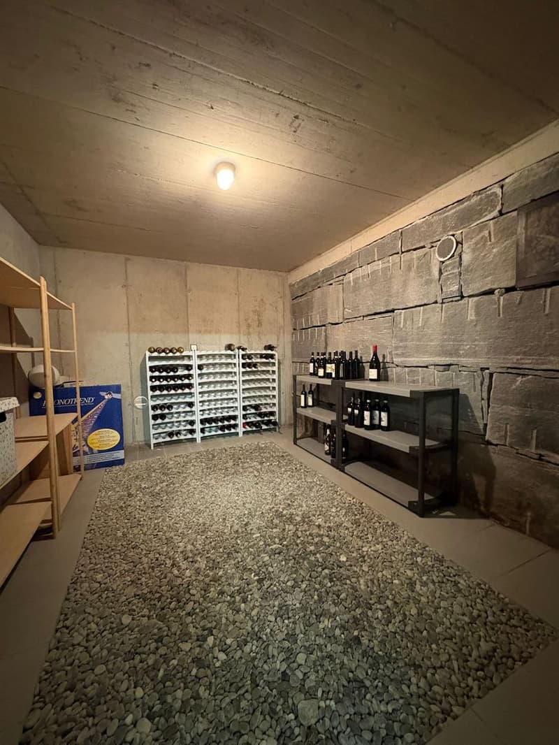 Detached house with large garden in quiet location in Grono (13)