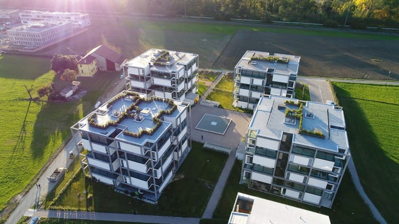 Res. Leche Park, attique de 4,5 pièces, Bellinzona (1)