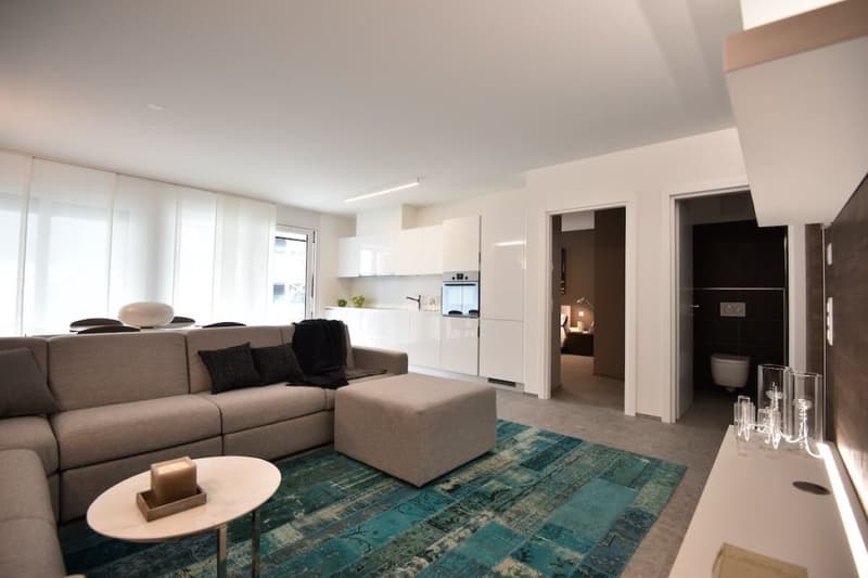 Appartamento arredato moderno Luxury C19 Bellinzona (1)