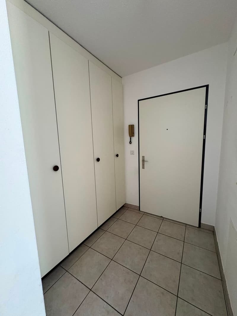 Monolocale in Giubiasco (4)