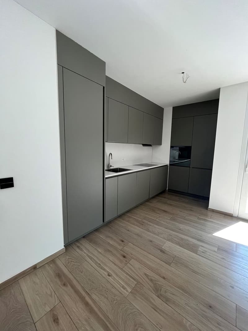Res. Mikael, appartement de 2.5 pièces avec jardin, Arbedo (1)