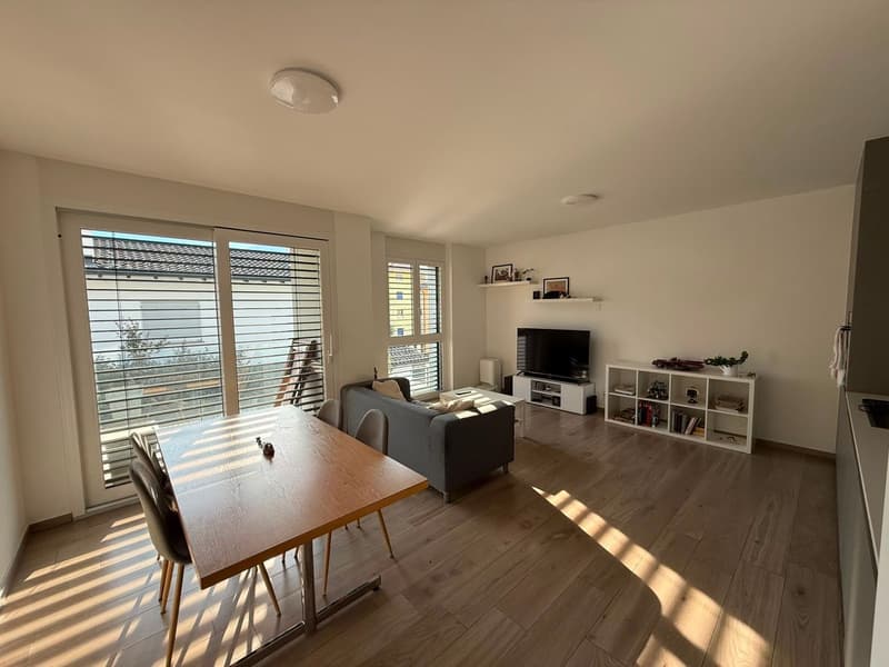 Res. Mikael, appartement de 2.5 pièces, Arbedo (1)