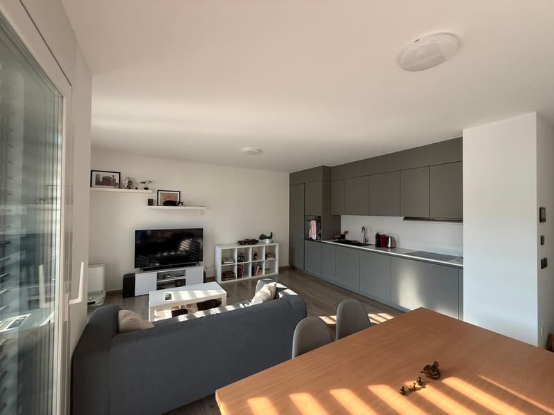 Res. Mikael, appartement de 2.5 pièces, Arbedo (2)