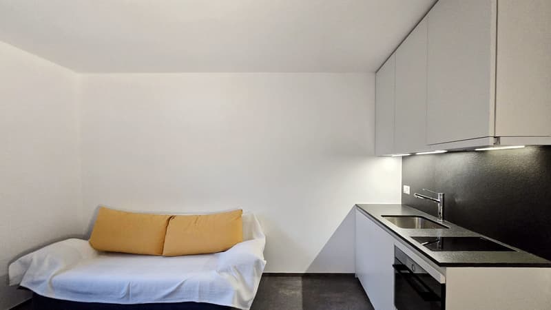 Zweieinhalb-Zimmer-Wohnung möbliert im Zentrum, Locarno (8)