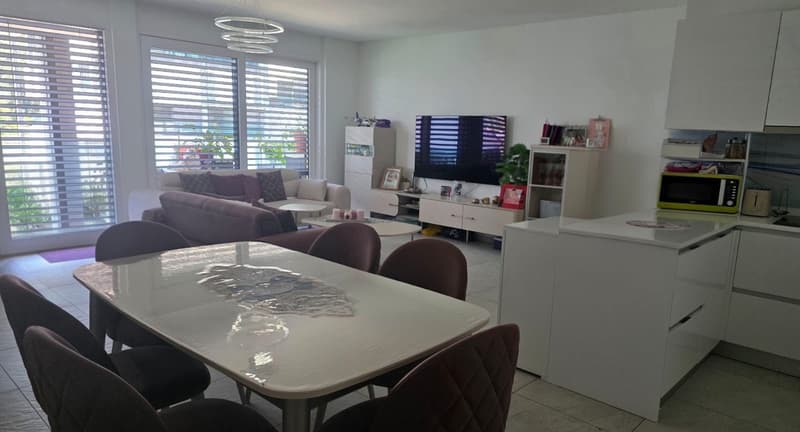 Appartement de 4,5 pièces à Bellinzona (3)