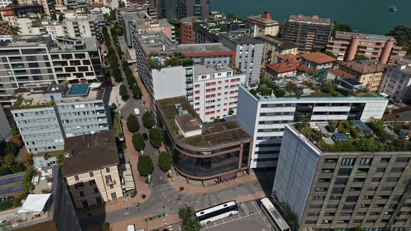 Spazio amministrativo/commerciale, Paradiso (Copy) (7)