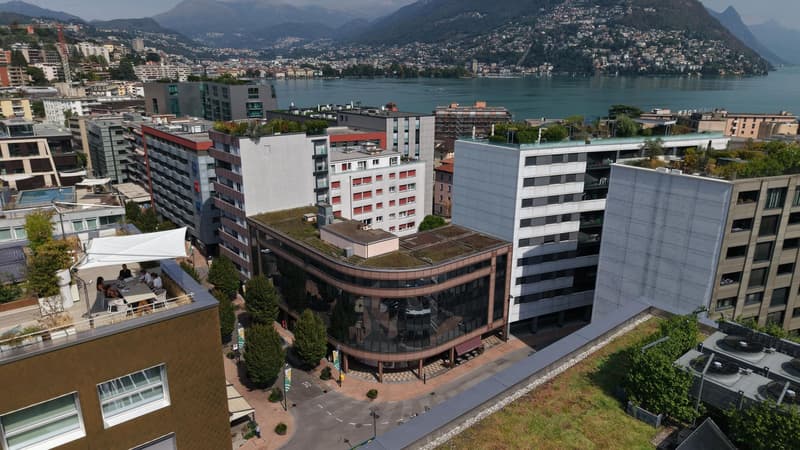 Spazio amministrativo/commerciale, Paradiso (Copy) (10)
