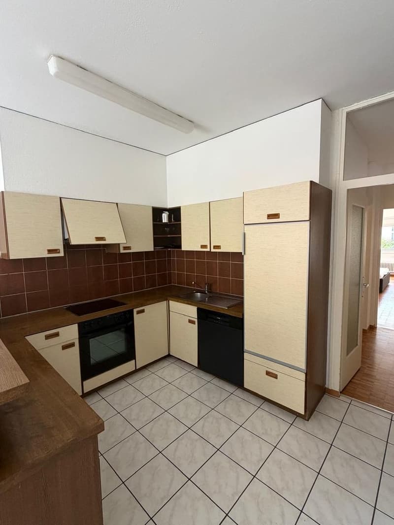 Appartamento arredato Bellinzona 3.5 Locali (7)