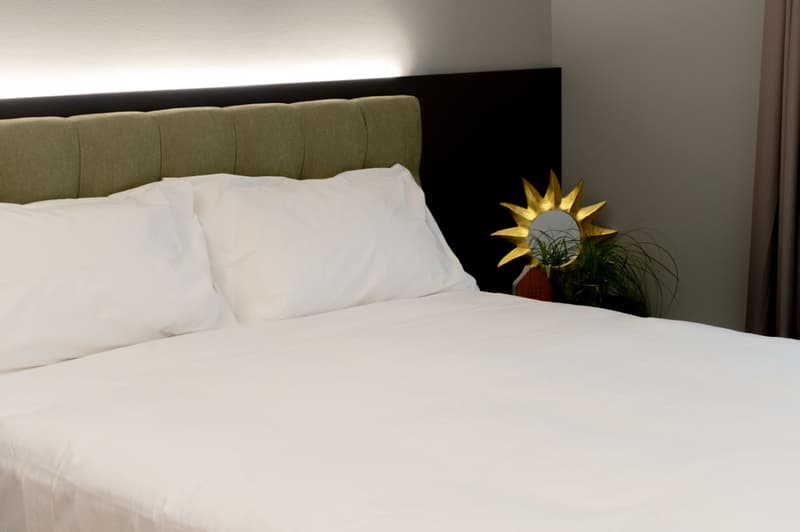 Arbed Living Hotel, appartamento ammobiliato 2.5 locali, Castione (7)