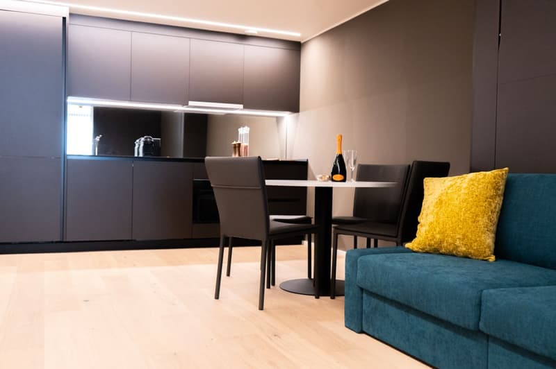 Arbed Living Hotel, appartamento ammobiliato 2.5 locali, Castione (1)
