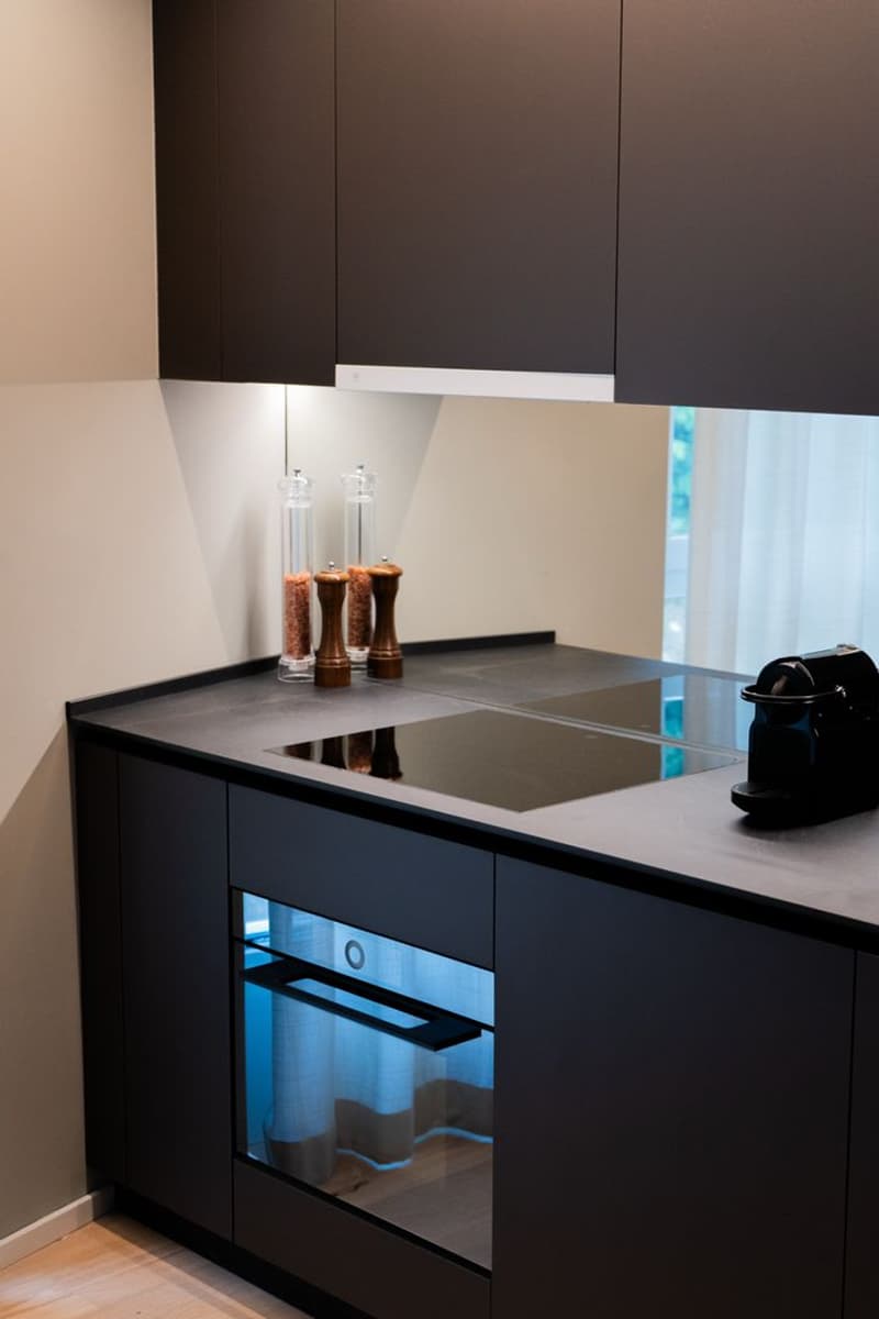 Arbed Living Hotel, appartamento ammobiliato 2.5 locali, Castione (6)