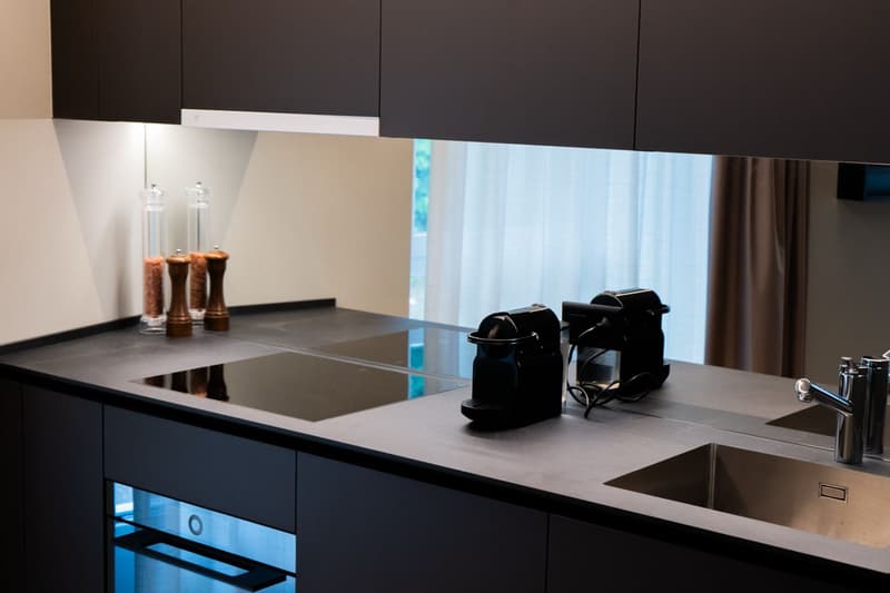 Arbed Living Hotel, appartamento ammobiliato 2.5 locali, Castione (5)