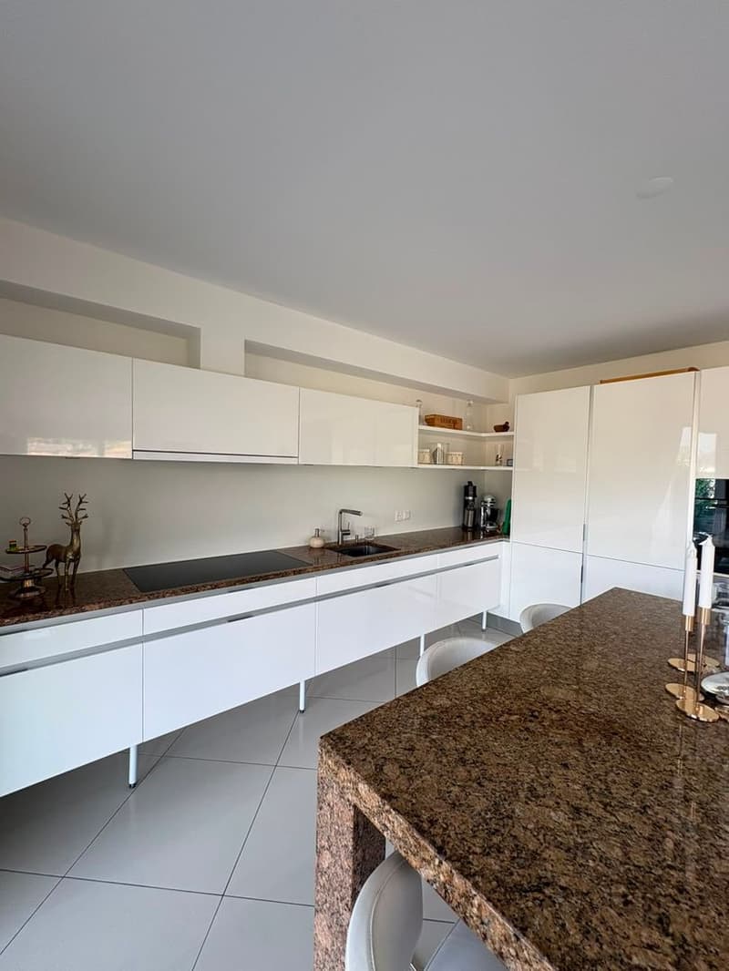 Appartamento di 4.5 locali con giardino, Agno (2)