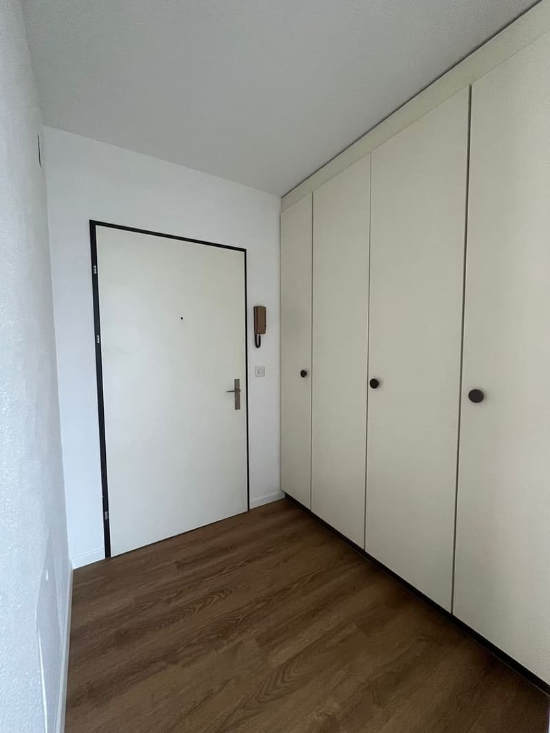 Monolocale a Giubiasco (5)