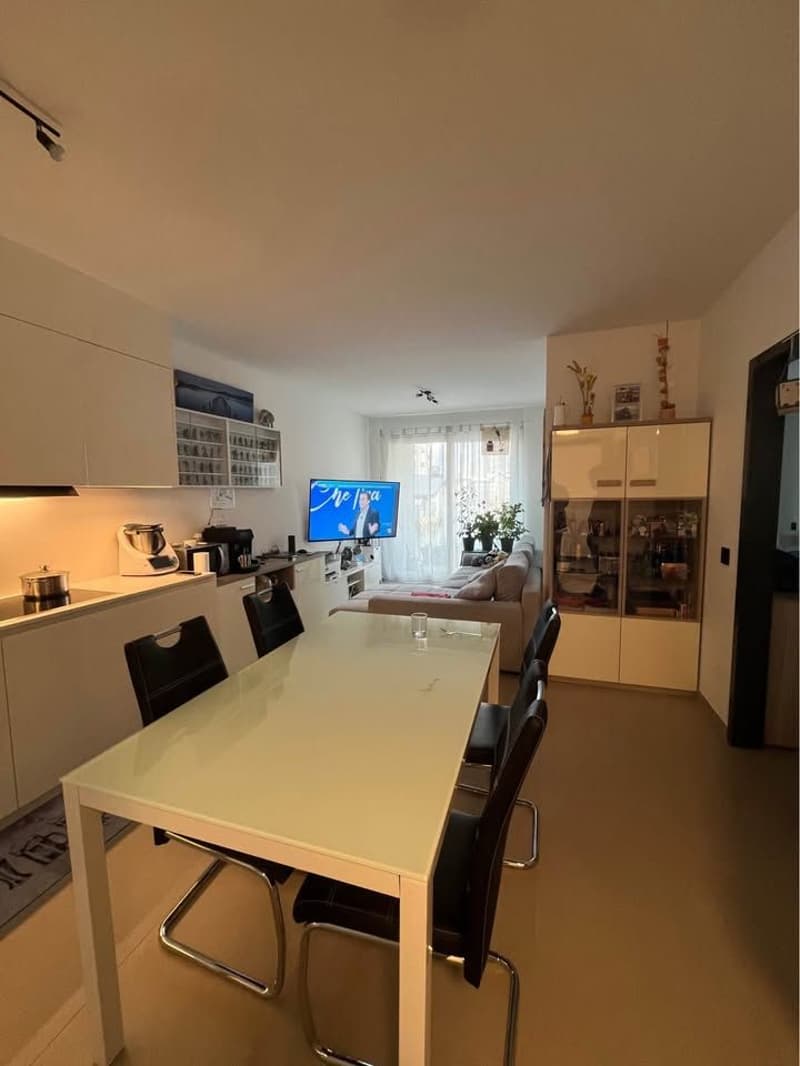 Res. Mikael, appartamento di 2.5 locali (PPP 8. 9, 12 e 13), Arbedo (2)