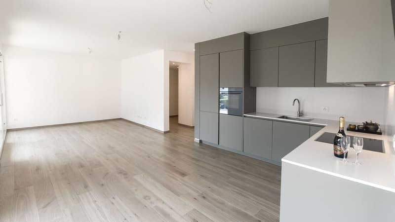 Res. Mikael, appartamento di 4.5 locali (PPP11), Arbedo (3)