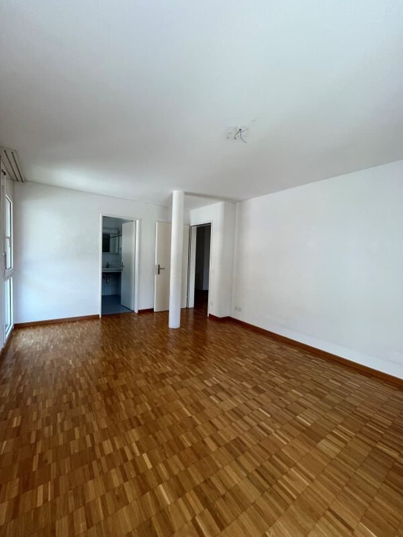 Appartamento duplex di 4.5 locali con vista lago, Muralto (7)