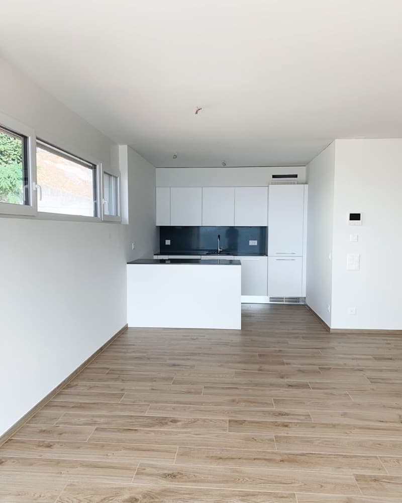 Res. Aragana, appartamento di 3.5 locali, Comano (1)