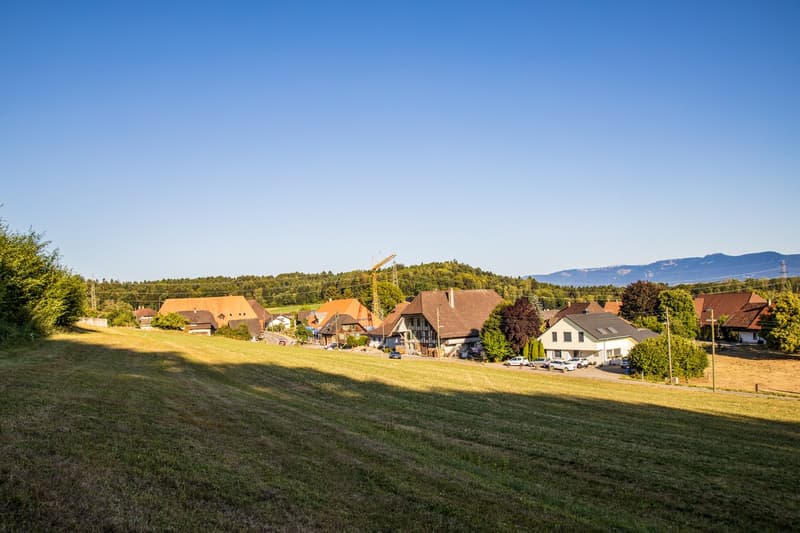 5.5 / 6.5 Zimmer Einfamilienhaus-Projekte im Baurecht (6)
