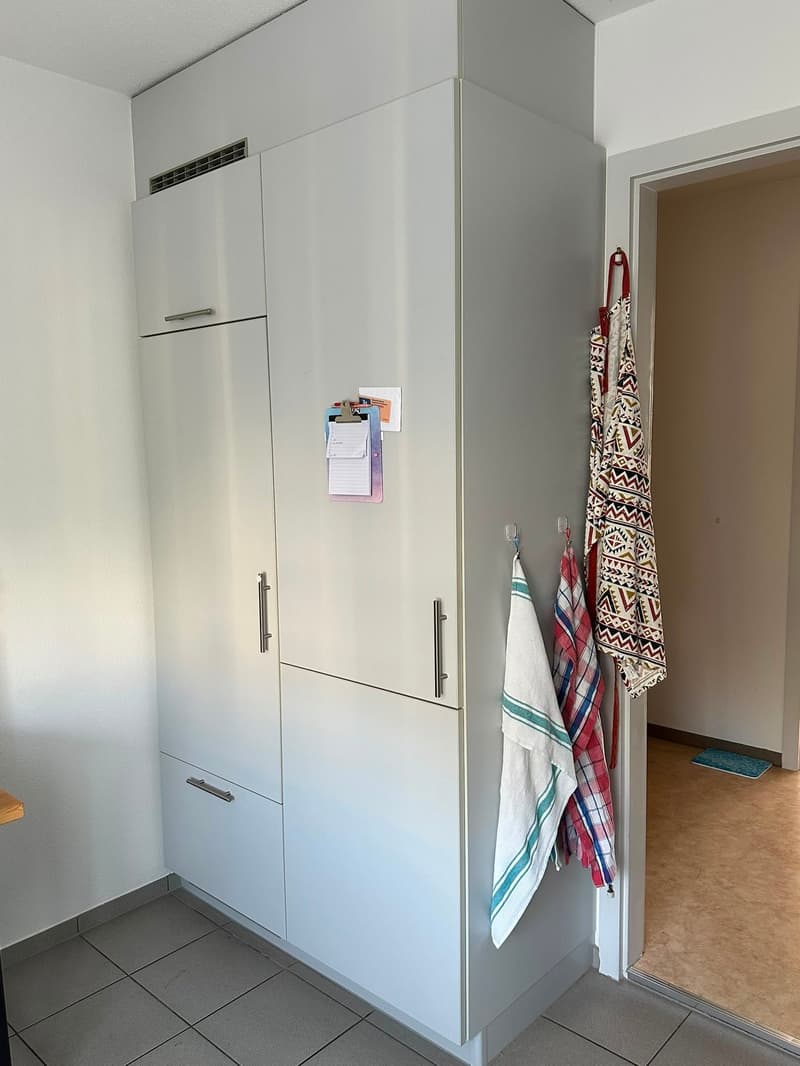 Appartamento di 3 camere dal 01.08.2026 o su accordo (5)