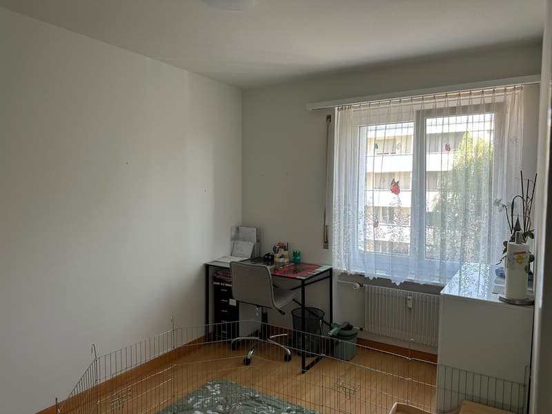 Appartamento di 3 camere dal 01.08.2026 o su accordo (8)