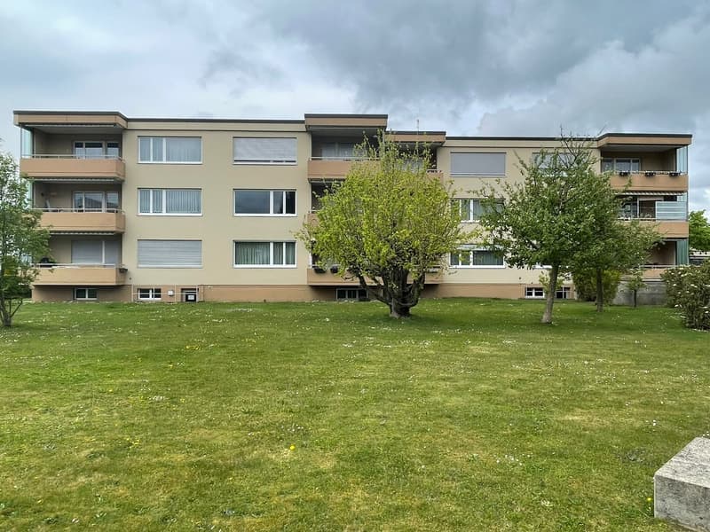 3.5 Zimmer-Wohnung per 01.08.2026 (1)