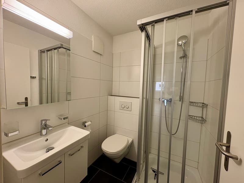 988_100_Badezimmer_Dusche_1.jpeg
