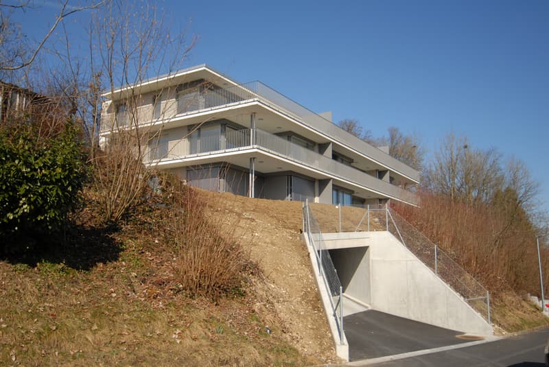 915_Einstelhalle.JPG