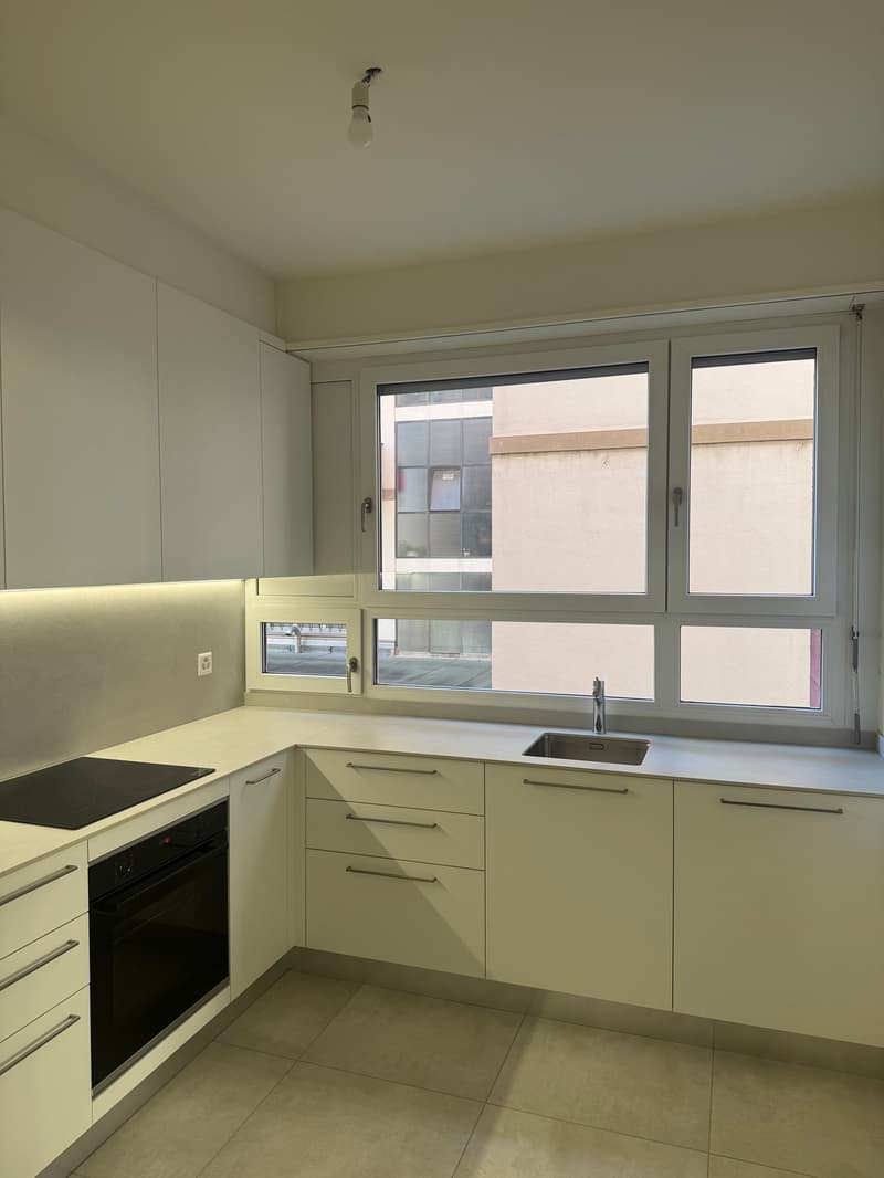 4.5-room apartment in Lugano Cassarate with parking (2)