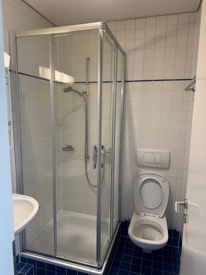 4.5-room apartment in Lugano Cassarate with parking (5)
