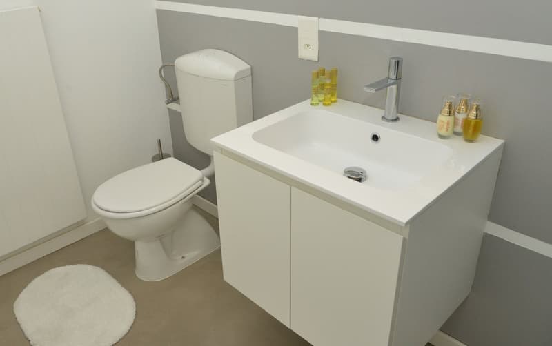 Furnished studio with balcony in Paradiso (9)