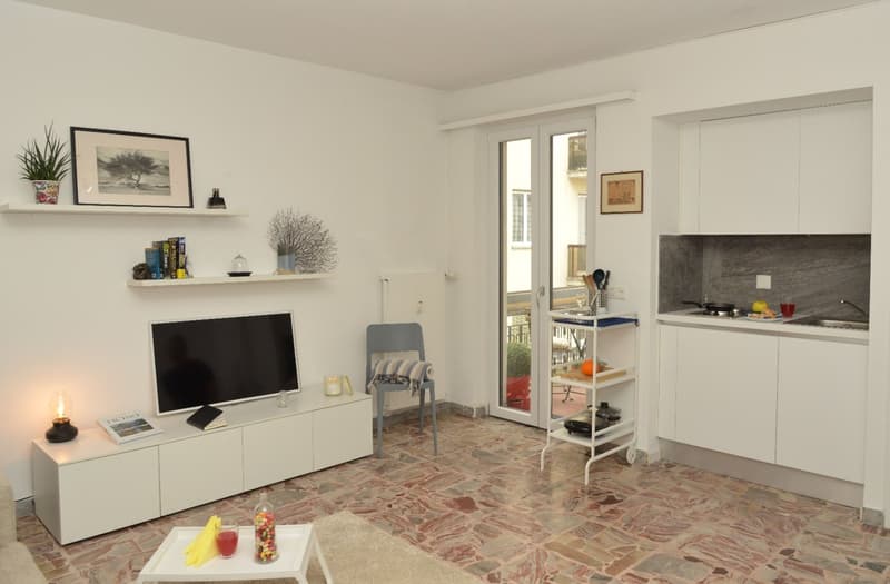 Furnished studio with balcony in Paradiso (1)