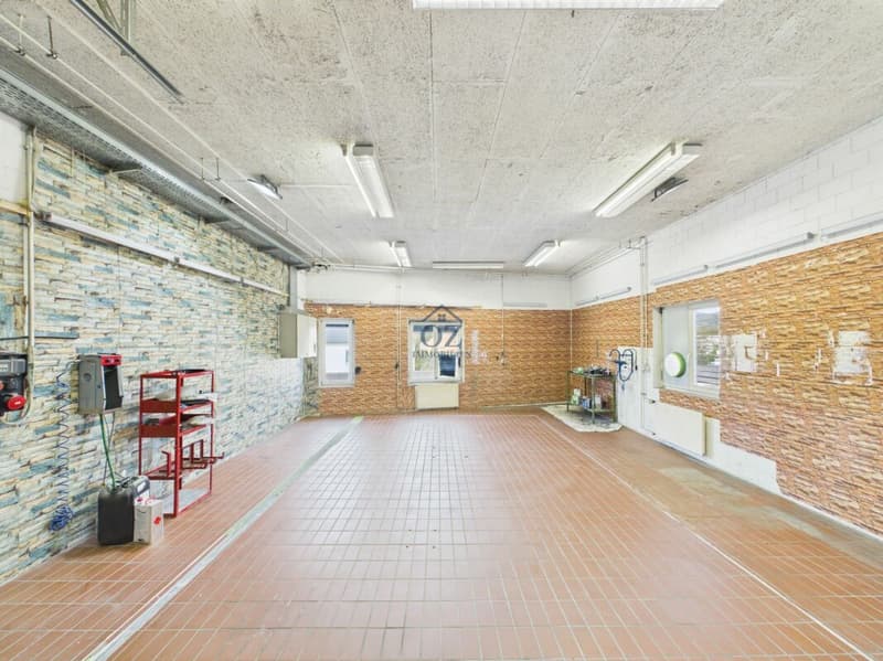 Top-Garage an Hauptstrasse mit Showroom, Werkstatt & Waschanlage (4)