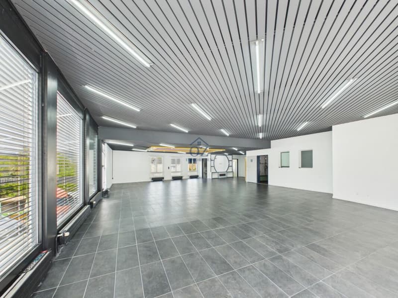 Top-Garage an Hauptstrasse mit Showroom, Werkstatt & Waschanlage (2)
