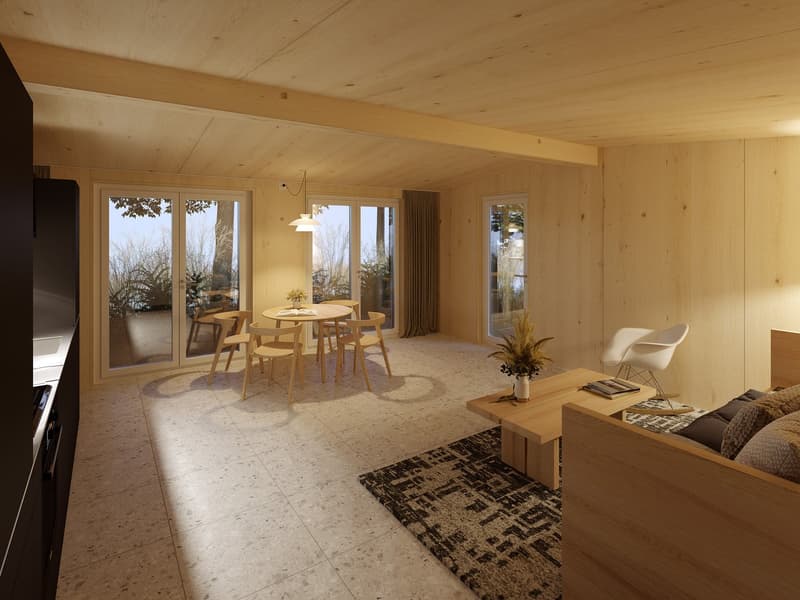 Modern design, wooden ceiling and walls, sliding glass doors to a balcony, open kitchen, round dining table, comfortable sofa, wooden coffee table, rug, armchair